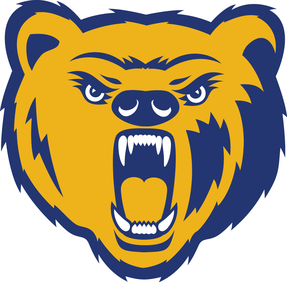 Northern Colorado Bears 2010-2014 Primary Logo t shirts iron on transfers